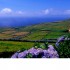 Travel: Azores named best European sustainable destination 
