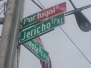 Jericho Tpke was renamed Portugal Blvd. for the day.(Photo by Gabriel Marques)