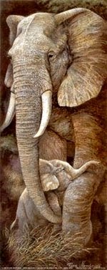 elephants_2